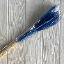 Колоски стабилизированные, 60 см, темно-синии, упаковка 30 шт.