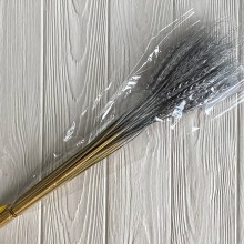 Колоски стабилизированные, 60 см, серебряные, упаковка 30 шт.