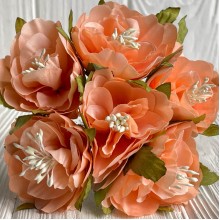 Бегония королевская, 5 см, темно-персиковая, упаковка 30 шт.