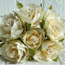 Бегония королевская, 5 см, молочная, упаковка 30 шт.