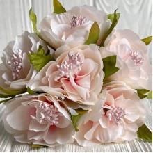 Бегония королевская, 5 см, нежно-розовая, упаковка 30 шт.