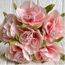 Бегония королевская, 5 см, розовая, упаковка 30 шт.