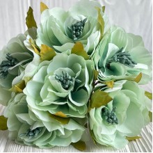 Бегония королевская, 5 см, мятная, упаковка 30 шт.