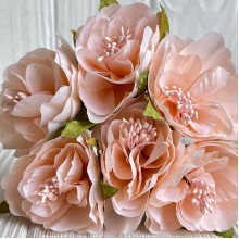 Бегония королевская, 5 см, персиковая, упаковка 30 шт.