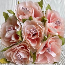 Бегония королевская, 5 см, персиково-розовая, упаковка 30 шт.