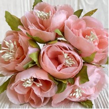 Бегония, 5х12 см, средне-персиковая, упаковка 30 шт.