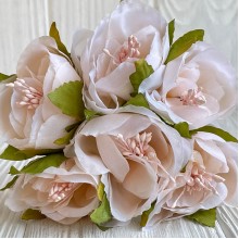 Бегония, 5х12 см, нежно-персиковая, упаковка 30 шт.