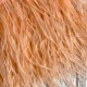 Тесьма из страусиных перьев, 10-15 см, абрикосовая, рулон 2 м Тесьма из страусиных перьев, 10-15 см, абрикосовая, рулон 2 м