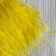 Тесьма из страусиных перьев, 10-15 см, желтая, рулон 2 м Тесьма из страусиных перьев, 10-15 см, желтая, рулон 2 м