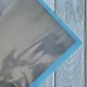 Пленка прозрачная с голубым кантом, 58х58 см, упаковка 20 шт.