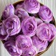 Бутон ранункулюса (пластиковая основа), 4 см, бело-сиреневый, упаковка 25 шт. Бутон ранункулюса (пластиковая основа), 4 см, бело-сиреневый, упаковка 25 шт.