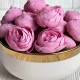 Бутон ранункулюса (пластиковая основа), 4 см, розово-сиреневый, упаковка 25 шт.