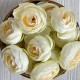Бутон ранункулюса, 4 см, молочный, упаковка 25 шт. Бутон ранункулюса, 4 см, молочный, упаковка 25 шт.