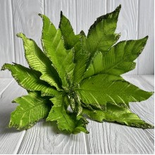 Пуансеттия бархатная (С30270), 34х30 см, оливковая, шт.