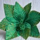 Пуансеттия бархатная (С30264), 28х30 см, зеленая, шт.
