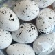 Пасхальные яйца (L00742), 3х5 см, белые с черным, упаковка 12 шт. Пасхальные яйца (L00742), 3х5 см, белые с черным, упаковка 12 шт.