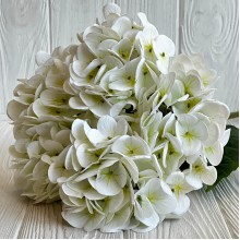 Гортензия (букет), 45 см, белая, шт.