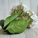 Гортензия (букет), 45 см, белая, шт. Гортензия (букет), 45 см, белая, шт.