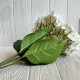 Гортензия (букет), 45 см, белая, шт. Гортензия (букет), 45 см, белая, шт.