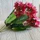 Гортензия (букет), 45 см, кораллово-малиновая, шт.