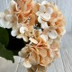 Гортензия (букет), 45 см, персиковая, шт.