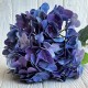 Гортензия (букет), 45 см, сине-фиолетовая, шт.
