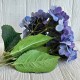 Гортензия (букет), 45 см, сине-фиолетовая, шт.