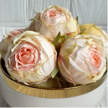 Бутон английской розы, 5-6 см, молочно-персиковая, упаковка 20 шт.