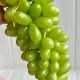 Виноград (длинный) (С07623), 23 мм, зеленый, шт.