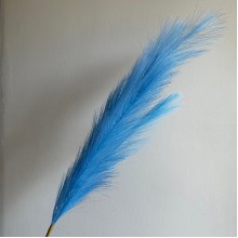 Кортадерия маленькая (штучная), 70 см, голубая, шт.