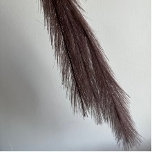 Кортадерия маленькая (штучная), 70 см, грязно-фиолетовая, шт.