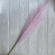 Кортадерия маленькая (штучная), 70 см, светло-розовая, шт.