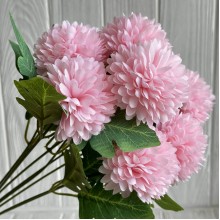 Букет астр, 6х42 см, светло-розовый, шт.