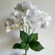 Букет гортензии, 48 см, белая, шт.