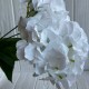 Букет гортензии, 48 см, белая, шт.