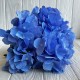Букет гортензии, 48 см, голубая, шт.
