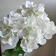 Букет гортензии, 48 см, молочная, шт.