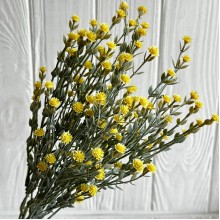 Зелень гіпсофіли, 38 см, жовтий, шт.