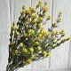 Зелень гіпсофіли, 38 см, жовтий, шт.