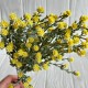 Зелень гіпсофіли, 38 см, жовтий, шт.