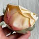 Бутон чайной розы, 7 см, персиковая, упаковка 12 шт.