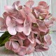 Букет гортензии мини (С30300), 35 см, пудровый, шт.