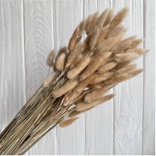 Лагурус стабілізований, 60 см, натуральний, упаковка 100 шт.