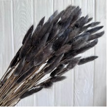 Лагурус стабилизированный, 60 см, графитовый, упаковка 100 шт. 