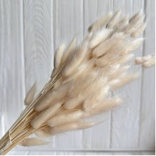 Лагурус стабілізований, 60 см, молочний, упаковка 100 шт.