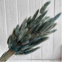 Лагурус стабилизированный, 60 см, изумрудный, упаковка 100 шт. 