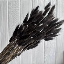 Лагурус стабилизированный, 60 см, черный, упаковка 100 шт. 