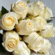 Букет роз, 28 см, молочный, букет из 11 шт. Букет роз, 28 см, молочный, букет из 11 шт.