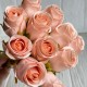 Букет роз, 28 см, персиковый, букет из 11 шт.