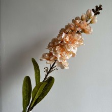 Букет дельфиниумов, 85 см, персиковый, шт.